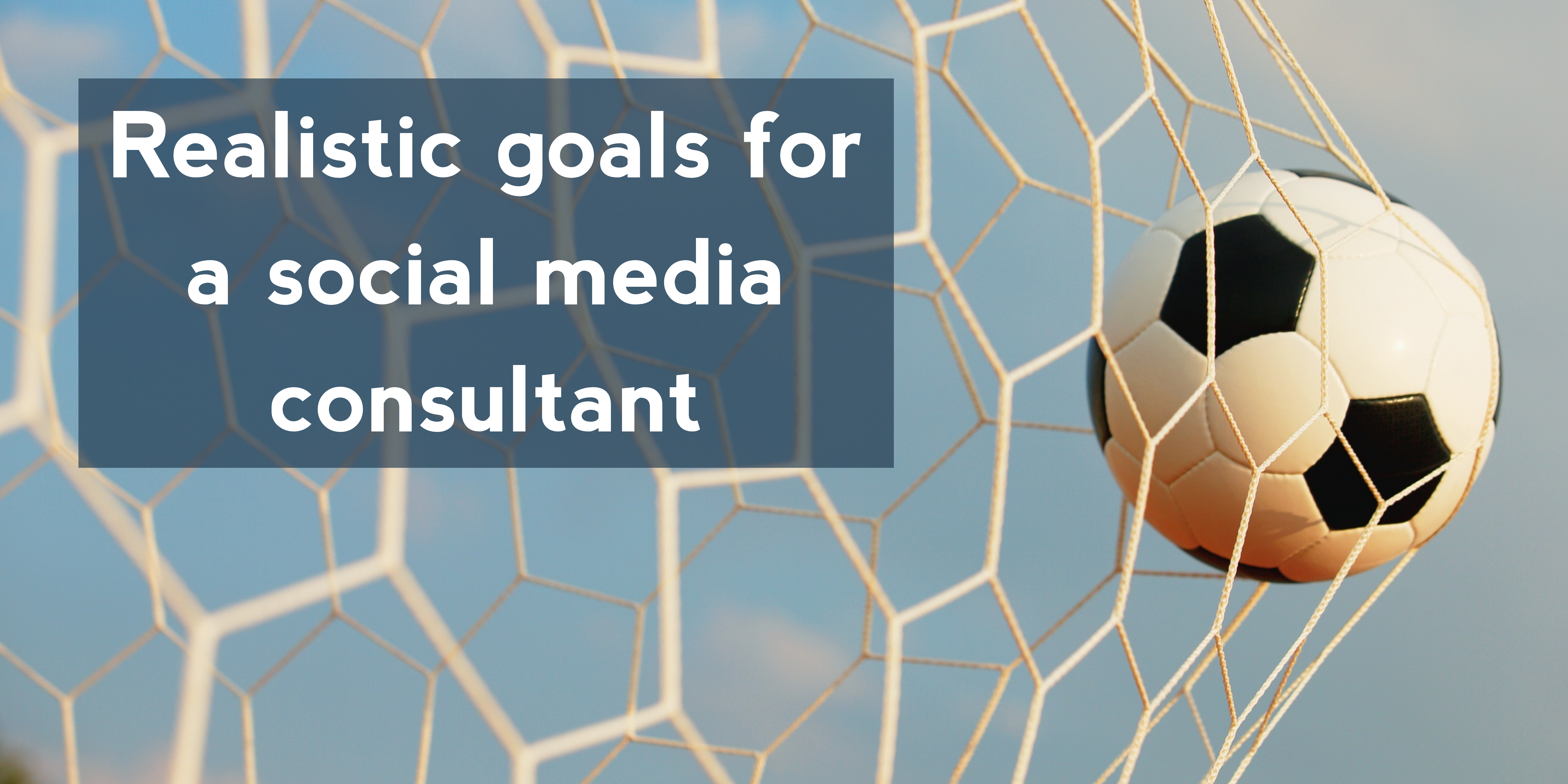Realistic goals for a social media consultant