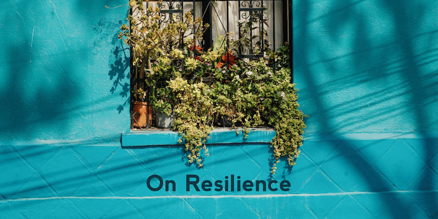 On Resilience