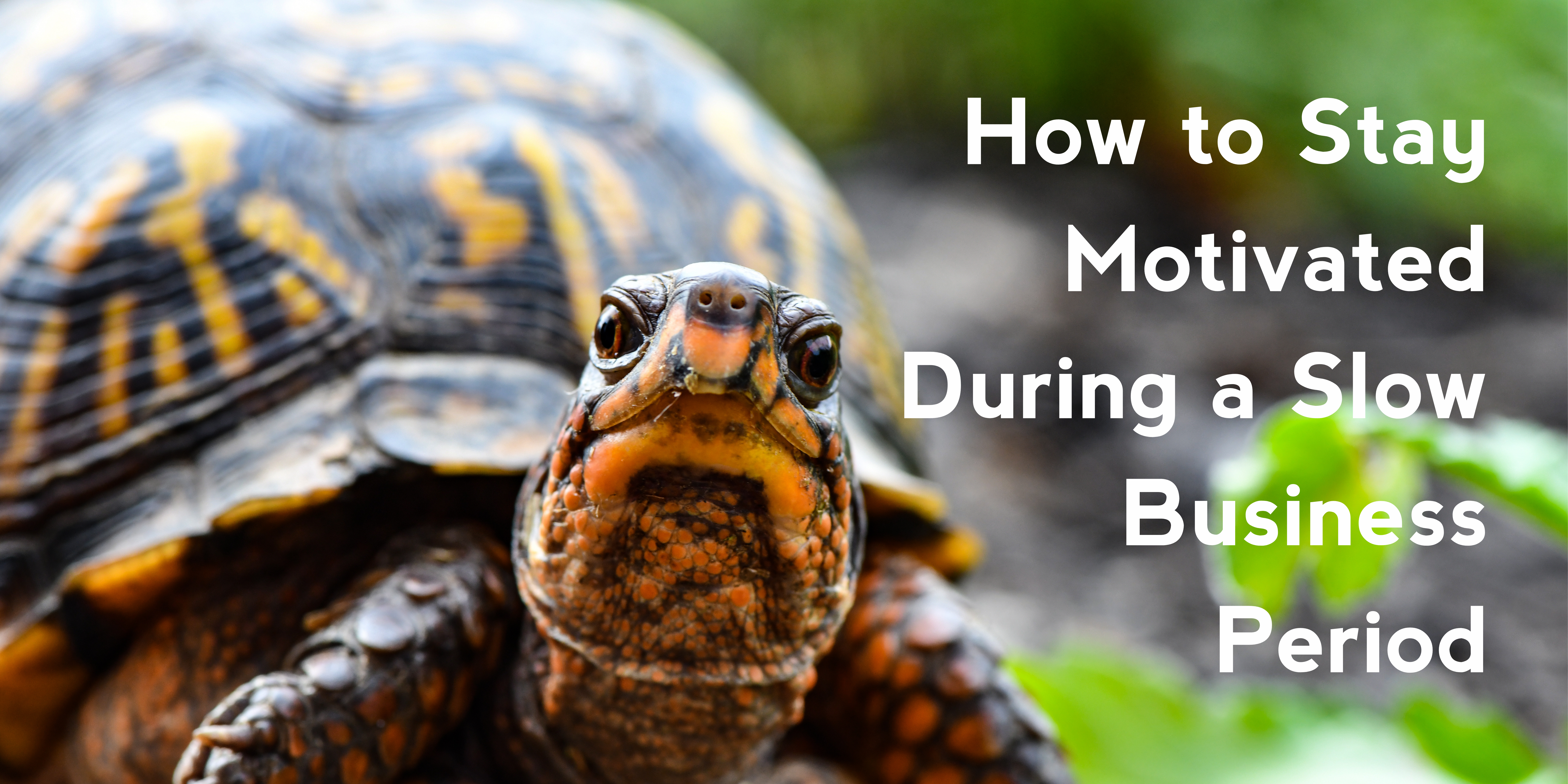 How to Stay Motivated During a Slow Business Period