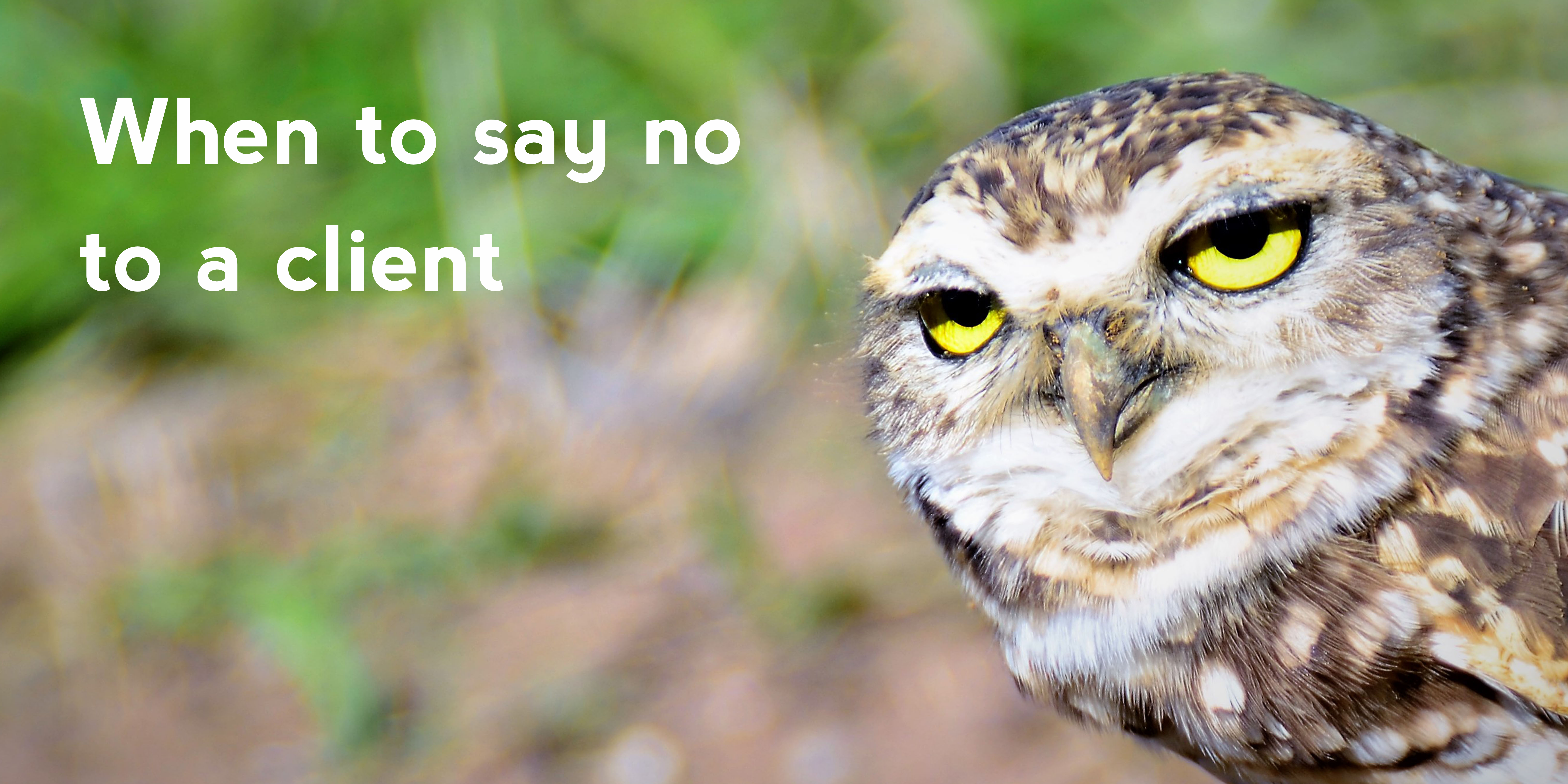 When to say no to a client