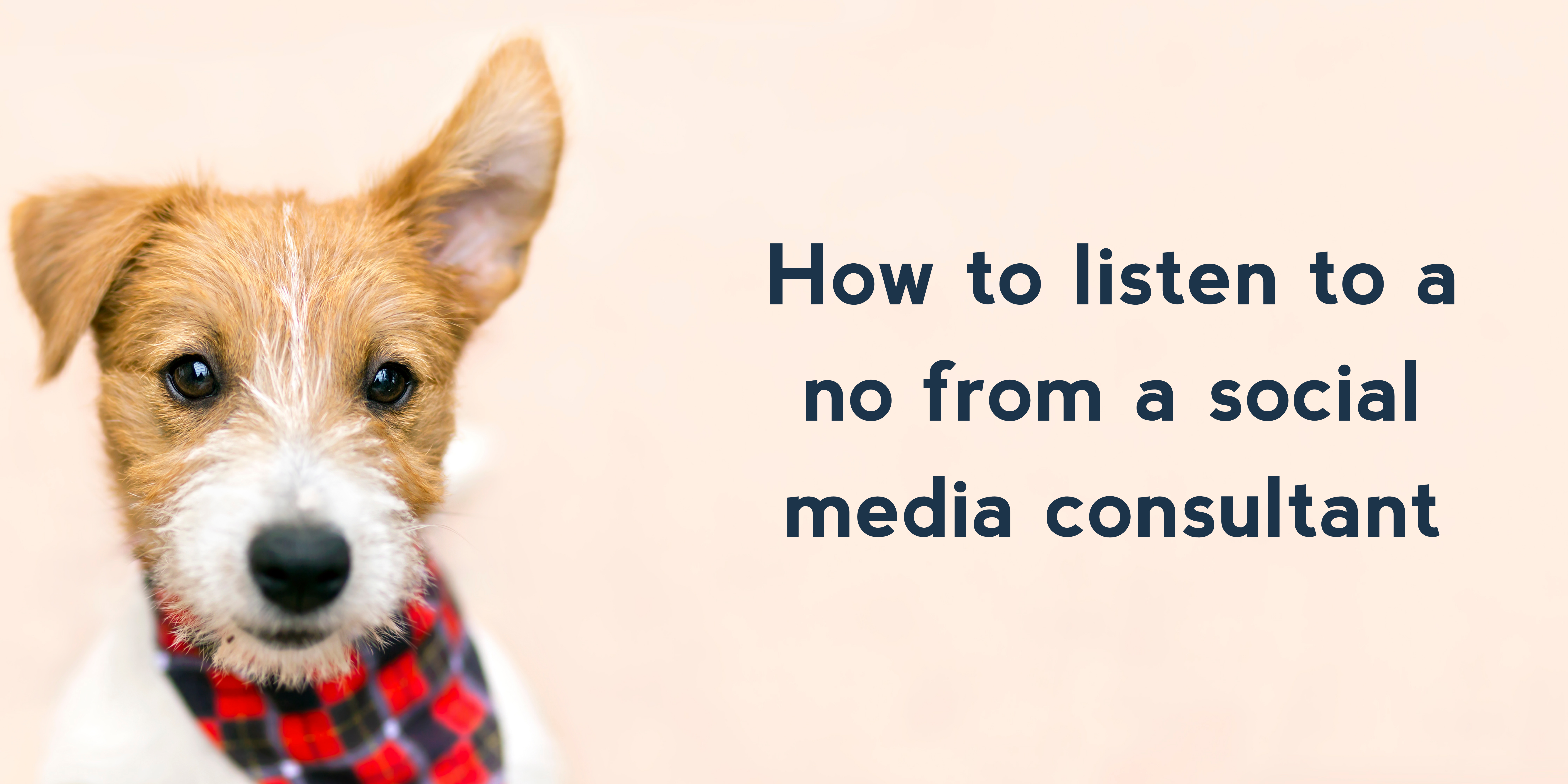 How to listen to a no from a social media consultant