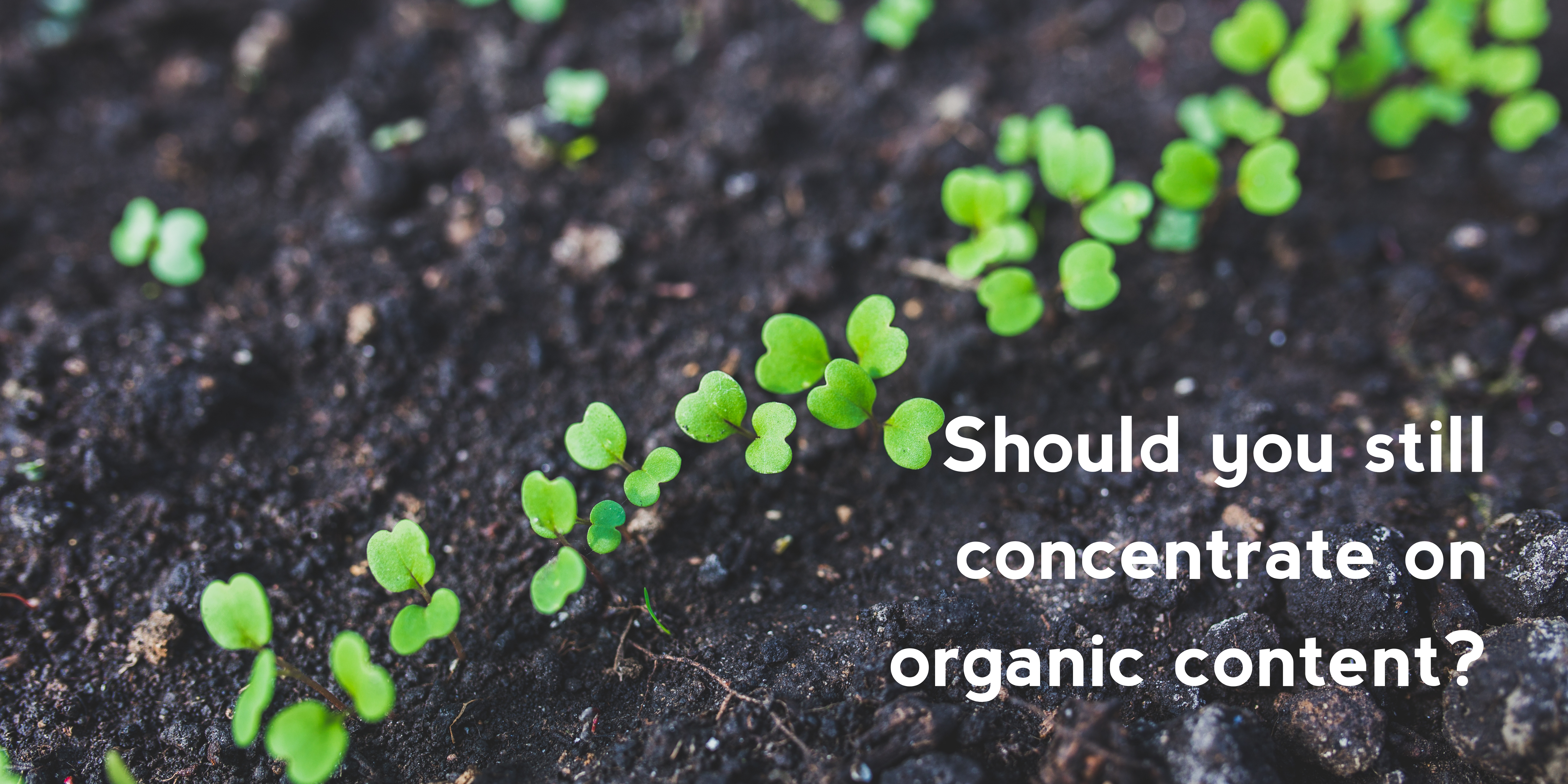 Should you still concentrate on organic content?